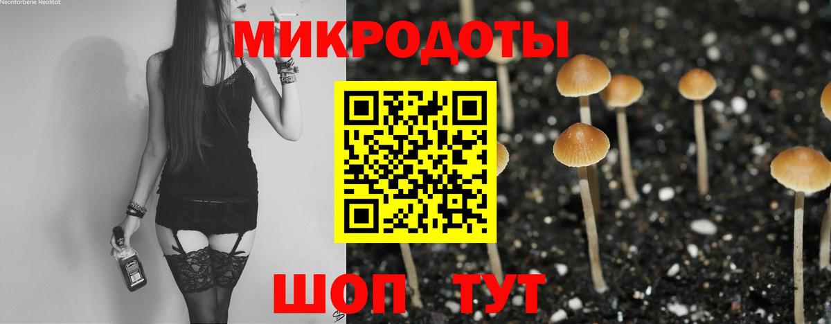 Зима  Галлюциногенные грибы Cubensis  Вход с VPN 