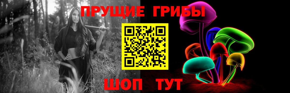 Галлюциногенные грибы MAGIC MUSHROOMS Зима